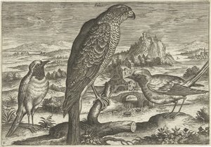 Några fåglar i ett landskap Fåglar (serietitel) Avivm vivae (serietitel) av Adriaen Collaert