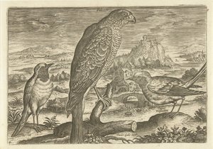 Några fåglar i ett landskap Fåglar (serietitel) Avivm vivae (serietitel) av Adriaen Collaert