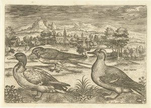 Några fåglar i ett landskap Fåglar (serietitel) Avium vivae (serietitel) av Adriaen Collaert