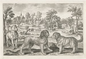 Hundar Fyrbenta djur (serietitel) Animalivm Qvaddrvpedvm (serietitel) av Adriaen Collaert