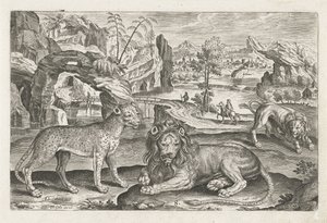 Lejon och leopard Fyrbenta djur (serietitel) Animalivm Qvaddrvpedvm (serietitel) av Adriaen Collaert