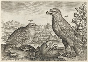Rapphöna och örn av Adriaen Collaert