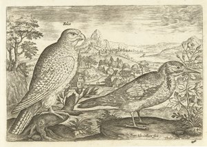 Två fåglar i ett landskap Avium Vivae (serietitel) Fåglar (serietitel) av Adriaen Collaert