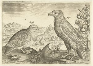 Två fåglar i ett landskap Avium Vivae (serietitel) Fåglar (serietitel) av Adriaen Collaert