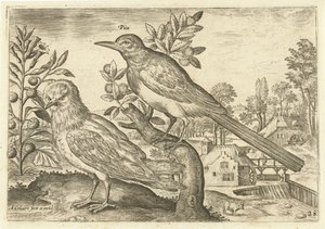 Två fåglar i ett landskap Fåglar (serietitel) Avium Vivae (serietitel) av Adriaen Collaert
