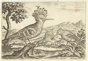 Två fåglar i ett landskap Fåglar (serietitel) Avium Vivae (serietitel) av Adriaen Collaert