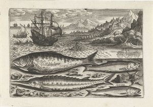 Fyra fiskar på stranden Fiske (serietitel) Piscium vivae-ikoner (serietitel) av Adriaen Collaert