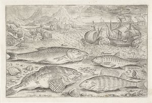 Fyra fiskar på stranden Fiske (serietitel) Piscium vivae-ikoner (serietitel) av Adriaen Collaert