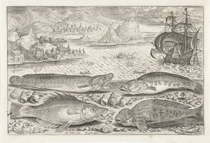 Fyra fiskar på stranden Fiske (serietitel) Piscium vivae-ikoner (serietitel) av Adriaen Collaert