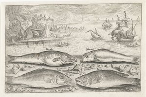 Fyra fiskar på stranden Fiske (serietitel) Piscium vivae-ikoner (serietitel) av Adriaen Collaert