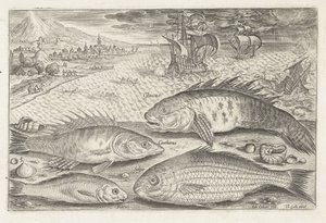 Fyra fiskar på stranden Fiske (serietitel) Piscium vivae-ikoner (serietitel) av Adriaen Collaert