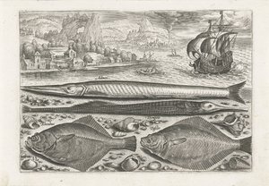 Fyra fiskar på stranden Fiske (serietitel) Piscium vivae-ikoner (serietitel) av Adriaen Collaert