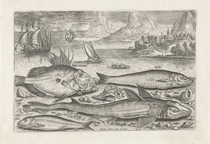swedish av Adriaen Collaert