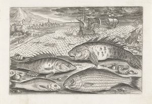 Fyra fiskar på stranden Fiske (serietitel) Piscium vivae-ikoner (serietitel) av Adriaen Collaert