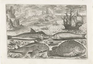 Fyra fiskar på stranden Fiske (serietitel) Piscium vivae-ikoner (serietitel) av Adriaen Collaert