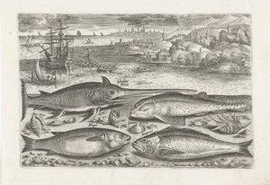 Fyra fiskar på stranden Fiske (serietitel) Piscium vivae-ikoner (serietitel) av Adriaen Collaert