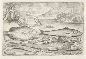 Fyra fiskar på stranden Fiske (serietitel) Piscium vivae-ikoner (serietitel) av Adriaen Collaert