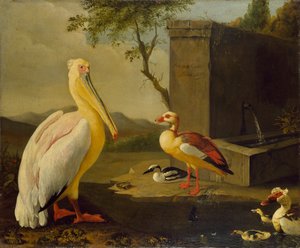 Orientaliska fåglar, 1683