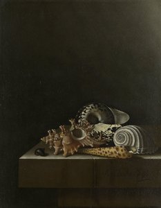 Skal på en stensockel av Adrian Coorte