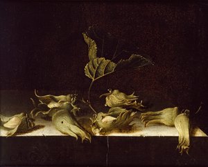 Stilleben med hasselnötter, 1696 av Adrian Coorte