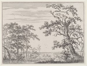 Landskap med en bäck och ett gammalt träd av Adriaen Hendricks Verboom