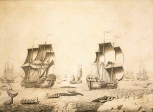 Valfångare i isen av Adriaen or Abraham Salm