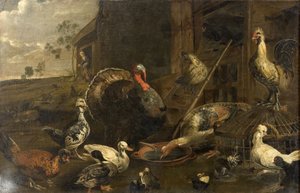 Höns, ankor och en kalkontupp