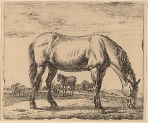 Betande häst av Adriaen van de Velde