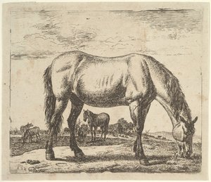 Betande häst, från olika djur. av Adriaen van de Velde