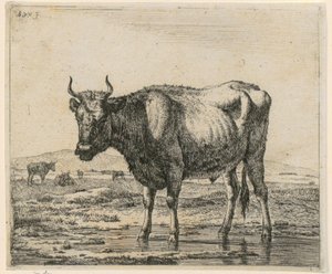 Tjur stående i vatten, blad 6 ur serien ”Olika djur” av Adriaen van de Velde