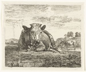 Liggande ko Olika djur (serietitel) av Adriaen van de Velde