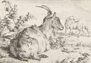 Liggande get, 1670 av Adriaen van de Velde
