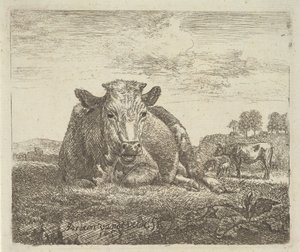Liggande ko, från olika djur, 1657. av Adriaen van de Velde