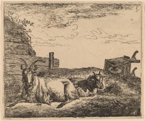 Liggande getter av Adriaen van de Velde