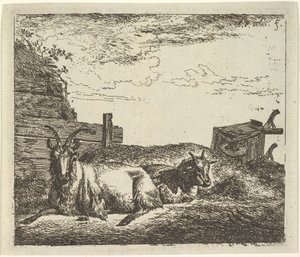 Liggande getter, från olika djur. av Adriaen van de Velde
