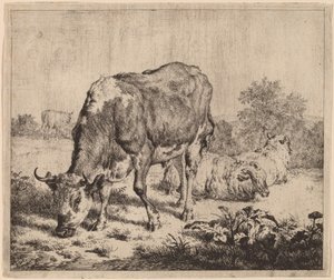 Fläckig tjur och tre får av Adriaen van de Velde