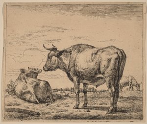Stående tjur av Adriaen van de Velde