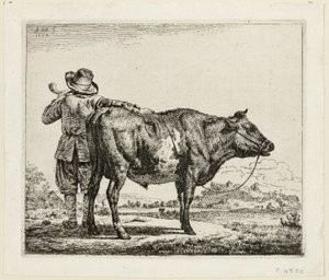Koherden och tjuren av Adriaen van de Velde