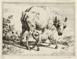 Lammet av Adriaen van de Velde