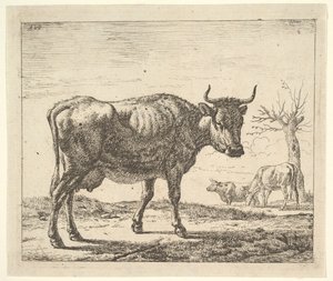 Tre kor, från olika djur. av Adriaen van de Velde