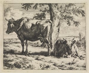 Två kor under ett träd av Adriaen van de Velde