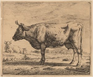 Två kor och ett får av Adriaen van de Velde
