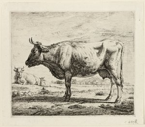 Två kor och ett får av Adriaen van de Velde