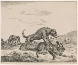 kamphundar Boskap (serietitel) av Adriaen van de Velde