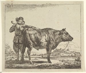 Ung herd med en tjur, från olika djur, 1659. av Adriaen van de Velde