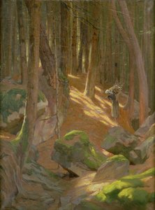 Skymning i en skog