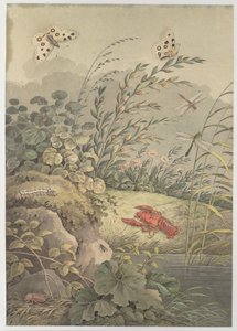 Vattenbit med krabba, fjärilar, trollsländor och havtorn, ca. 1800.