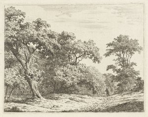 Landskap med träd och en man på vägen av Adrianus Serné