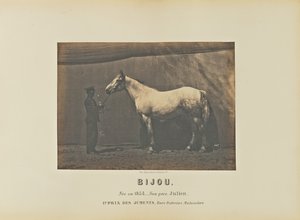 Bijou av Adrien Alban Tournachon