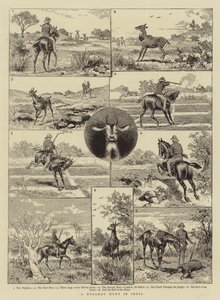 En Nylghau-jakt i Indien